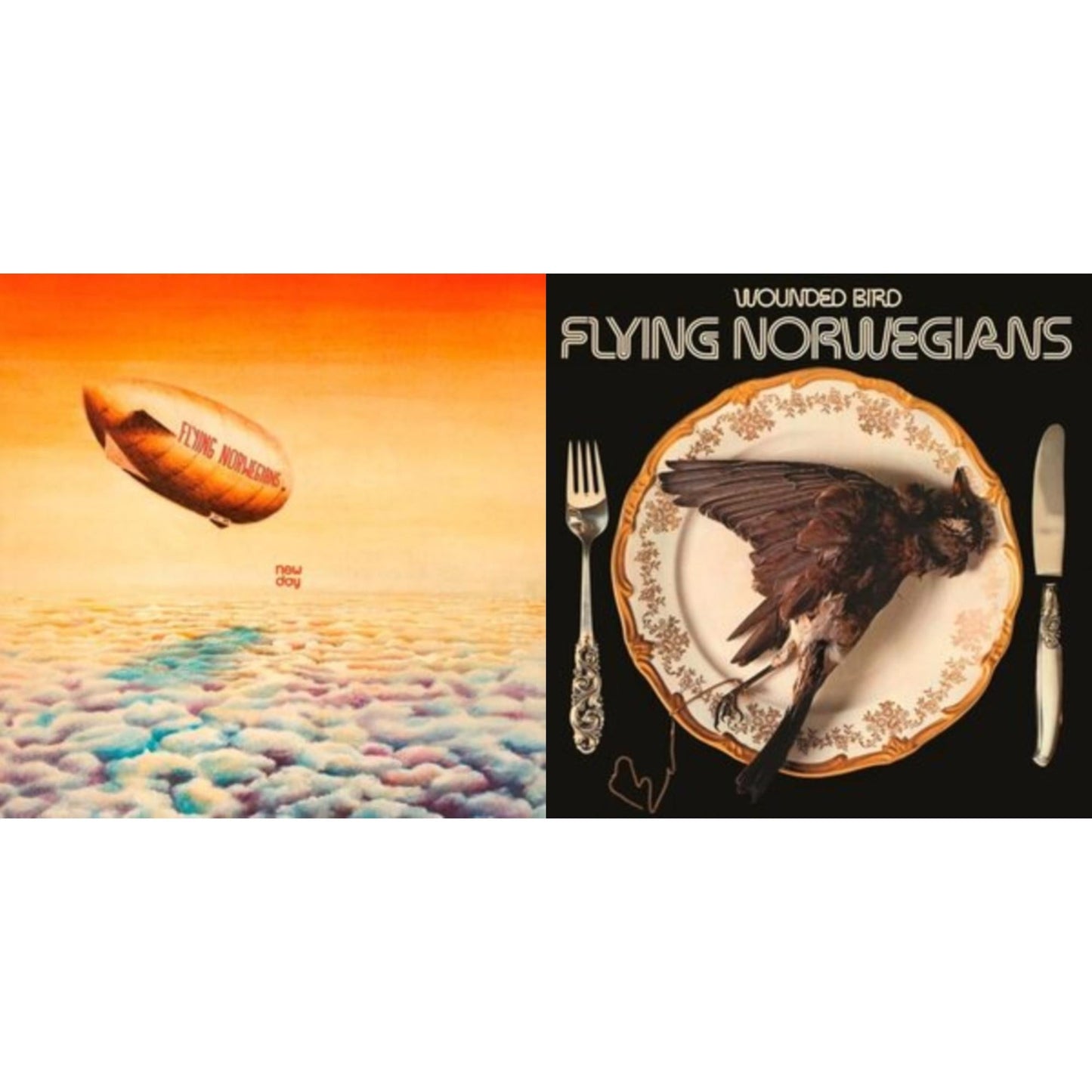 Flying Norwegians - New Day & Wounded Bird - LP Vinyl Bundle