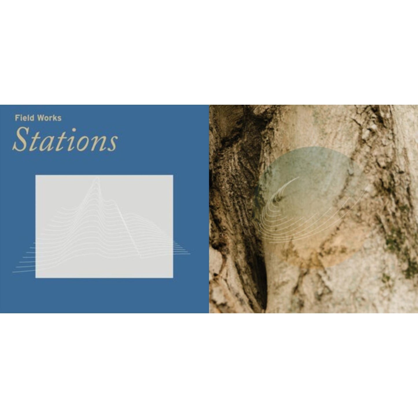 Field Works - Stations & Maples Ash & Oaks: Cedars Instrumentals (Iridescent Mother Of Pearl W/ Green Undertone) - LP Vinyl Bundle