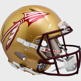Florida State Seminoles Full Size Authentic Speed Football Helmet Metallic Paint - NCAA