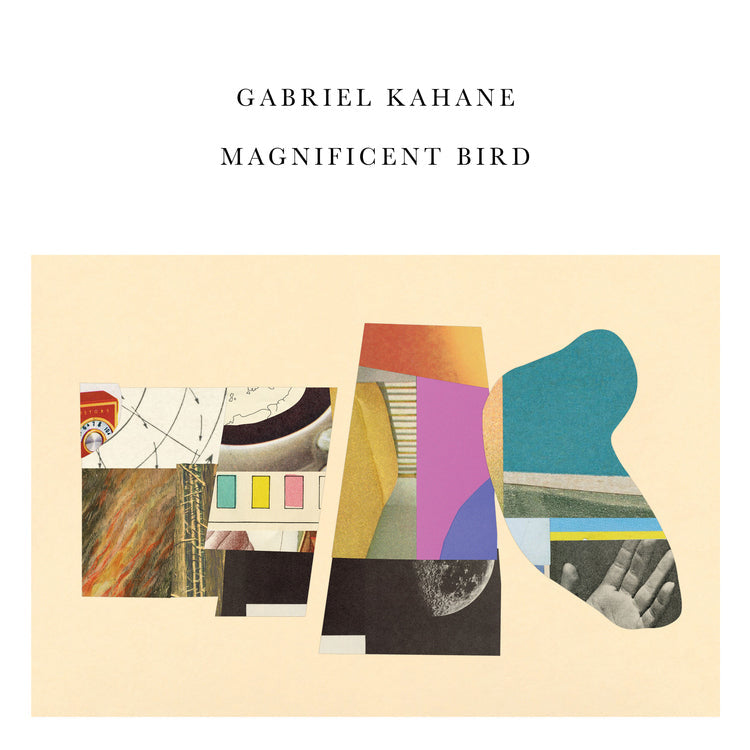 Magnificent Bird Vinyl Record