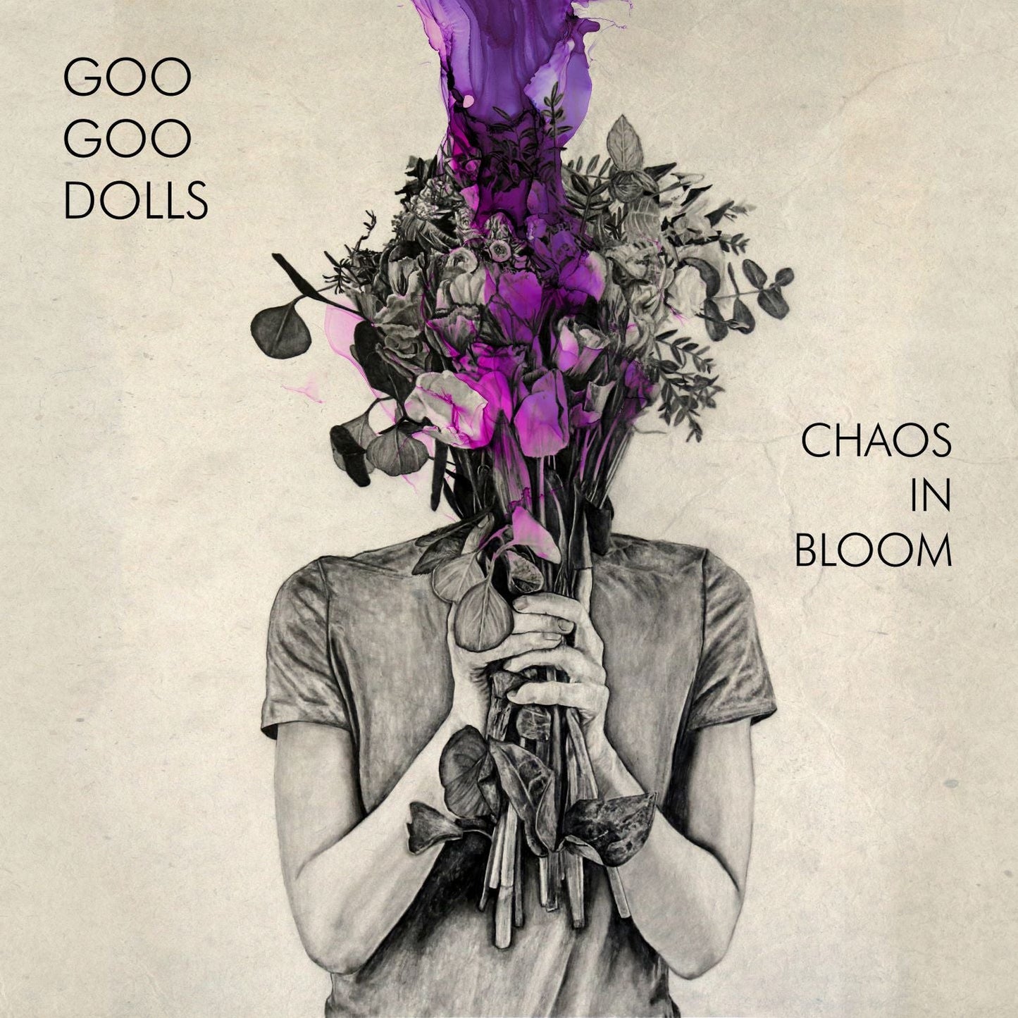 Goo Goo Dolls - Chaos In Bloom Vinyl Record