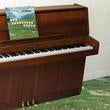The Sophtware Slump.....On A Wooden Piano Vinyl Record