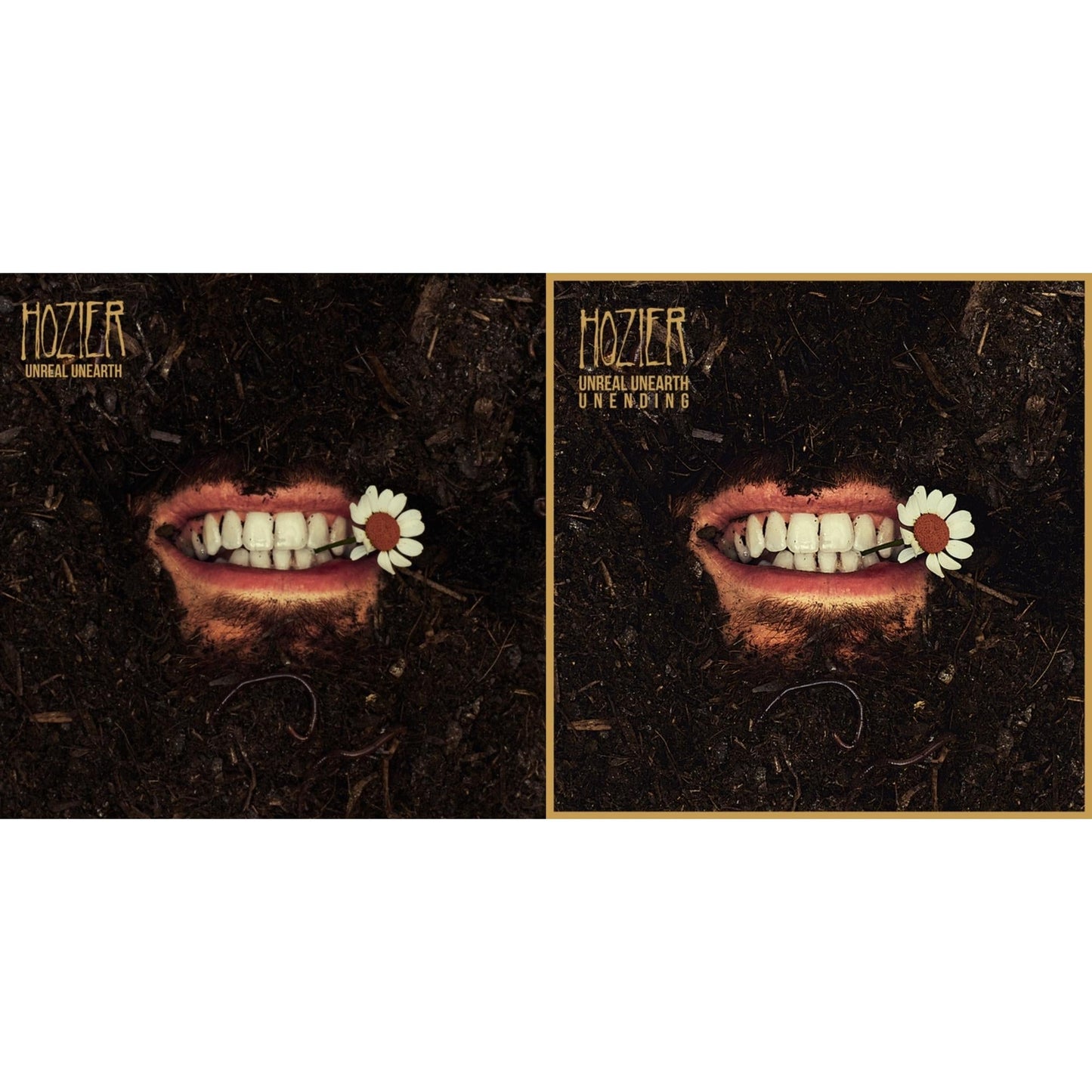 Hozier - Unreal Unearth (2LP) & Unreal Unearth Unending (140G/Raw Ochre LP Vinyl)