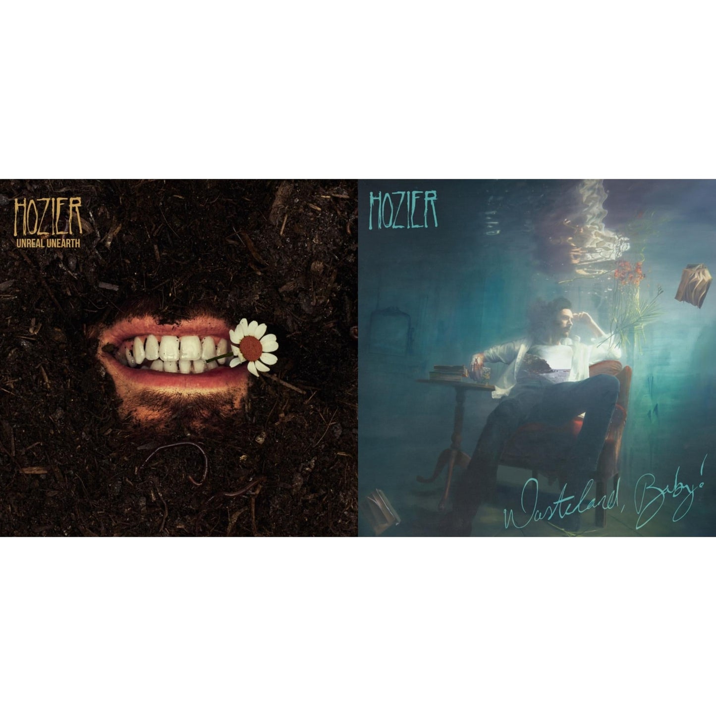 Hozier - Unreal Unearth (2LP) & Wasteland, Baby! (2LP)