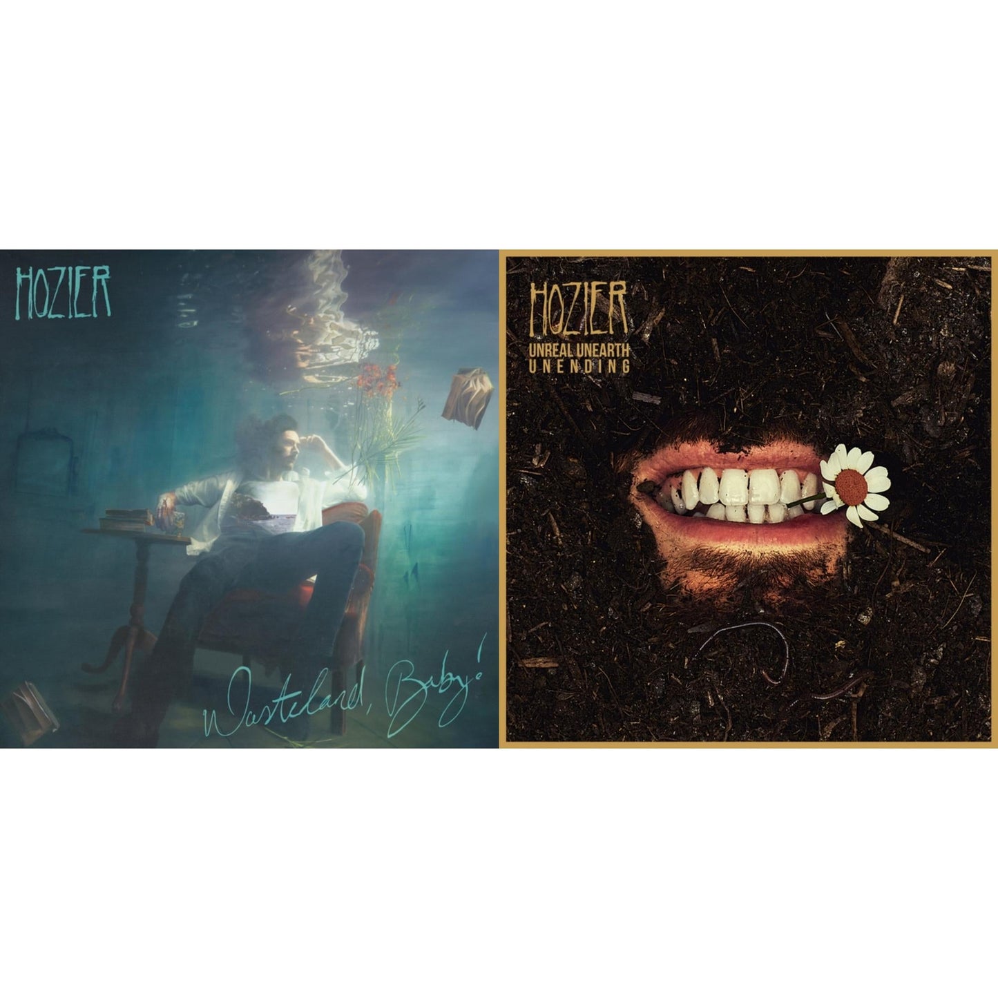 Hozier - Wasteland, Baby! (2LP) & Unreal Unearth Unending (140G/Raw Ochre LP Vinyl)
