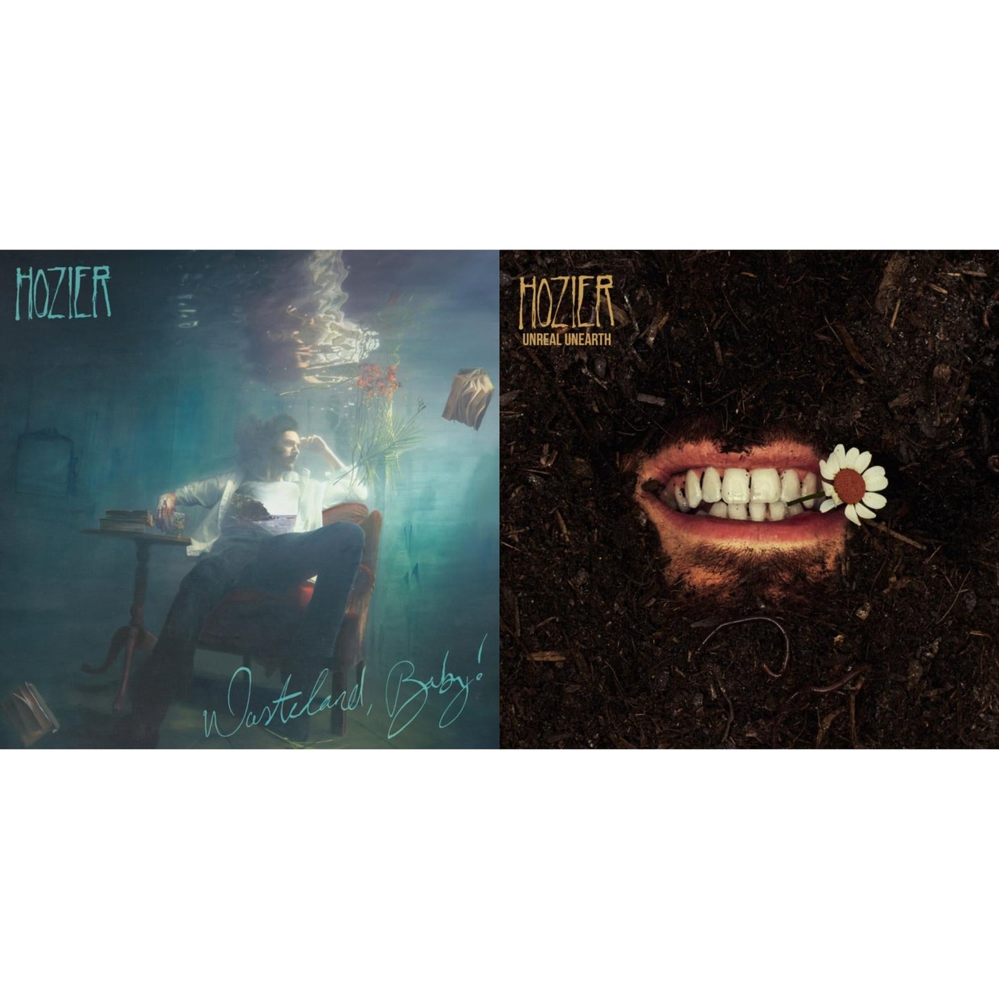 Hozier - Unreal Unearth (2LP) & Wasteland, Baby! (2LP)