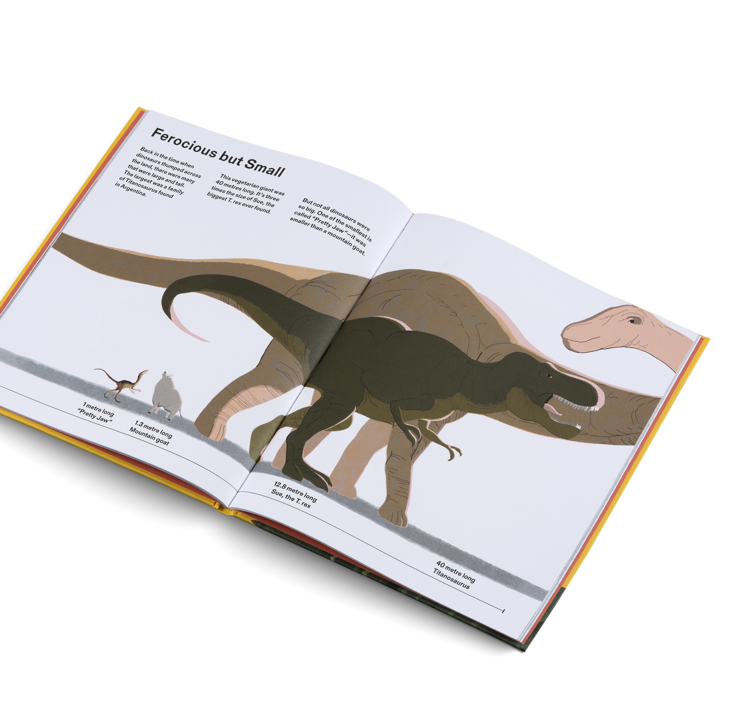 How Big Is Big? How Far Is Far? All Around Me Book