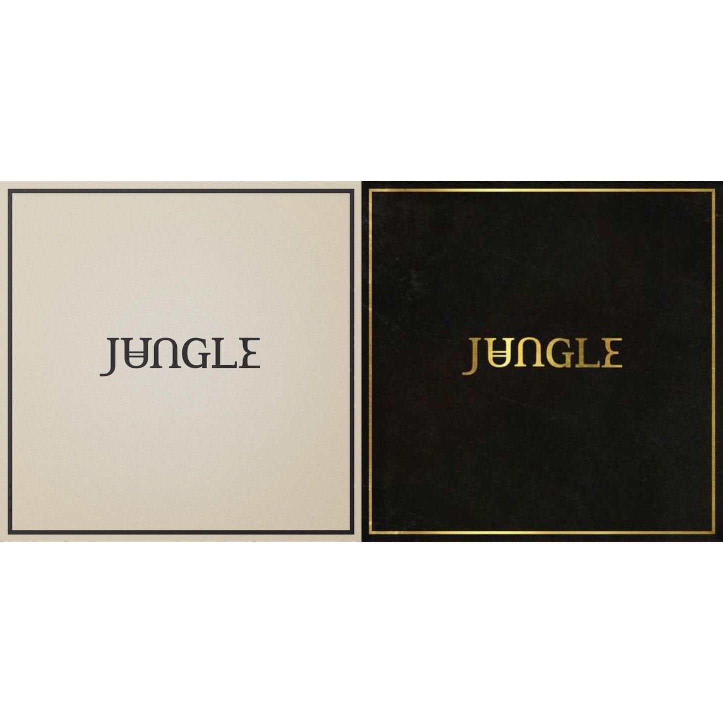 Jungle - Loving In Stereo & Jungle - LP Vinyl Bundle