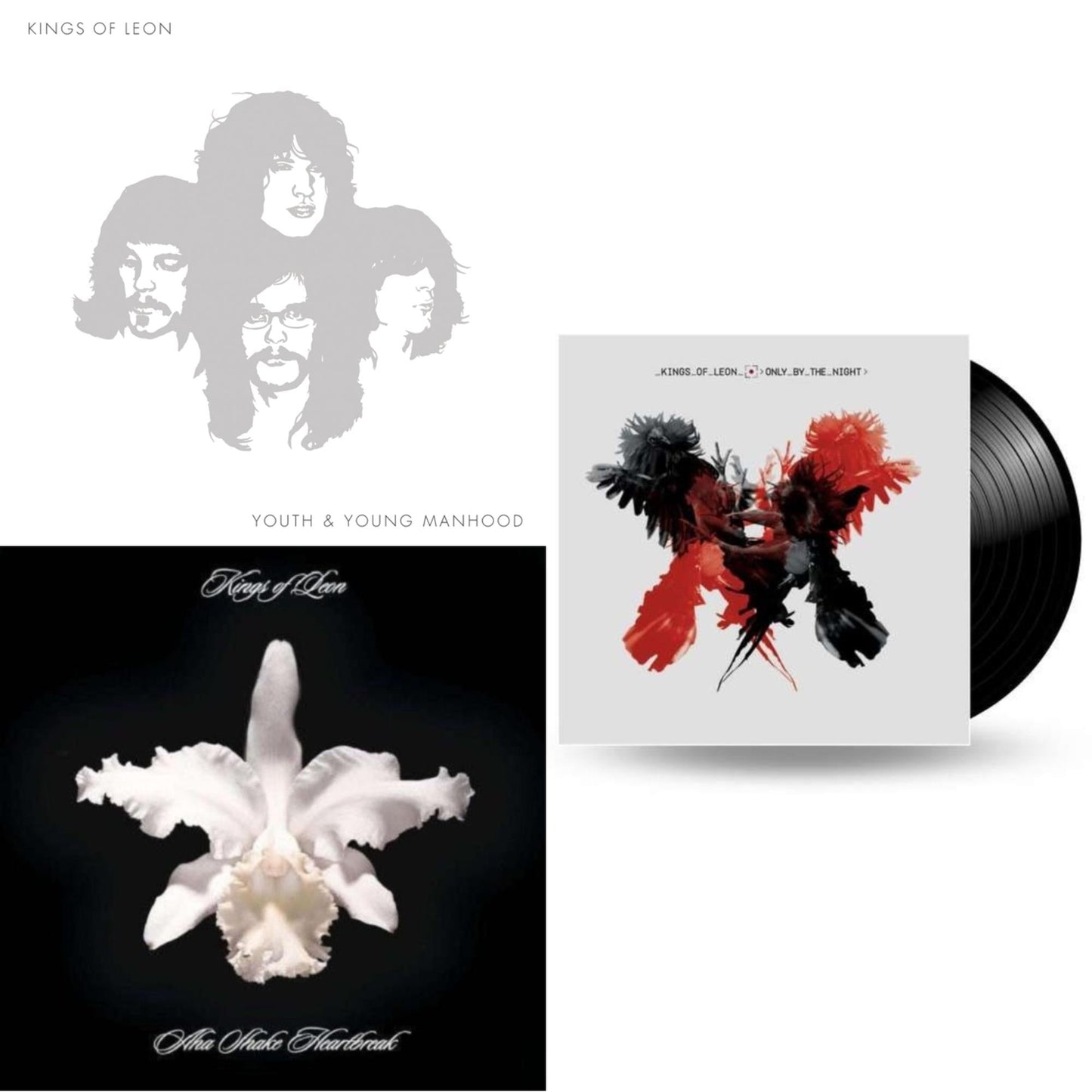 Kings Of Leon - Youth & Young Manhood (2LP/180G/Gatefold) & Aha Shake Heartbreak (2LP/180G/Gatefold) & Only By The Night