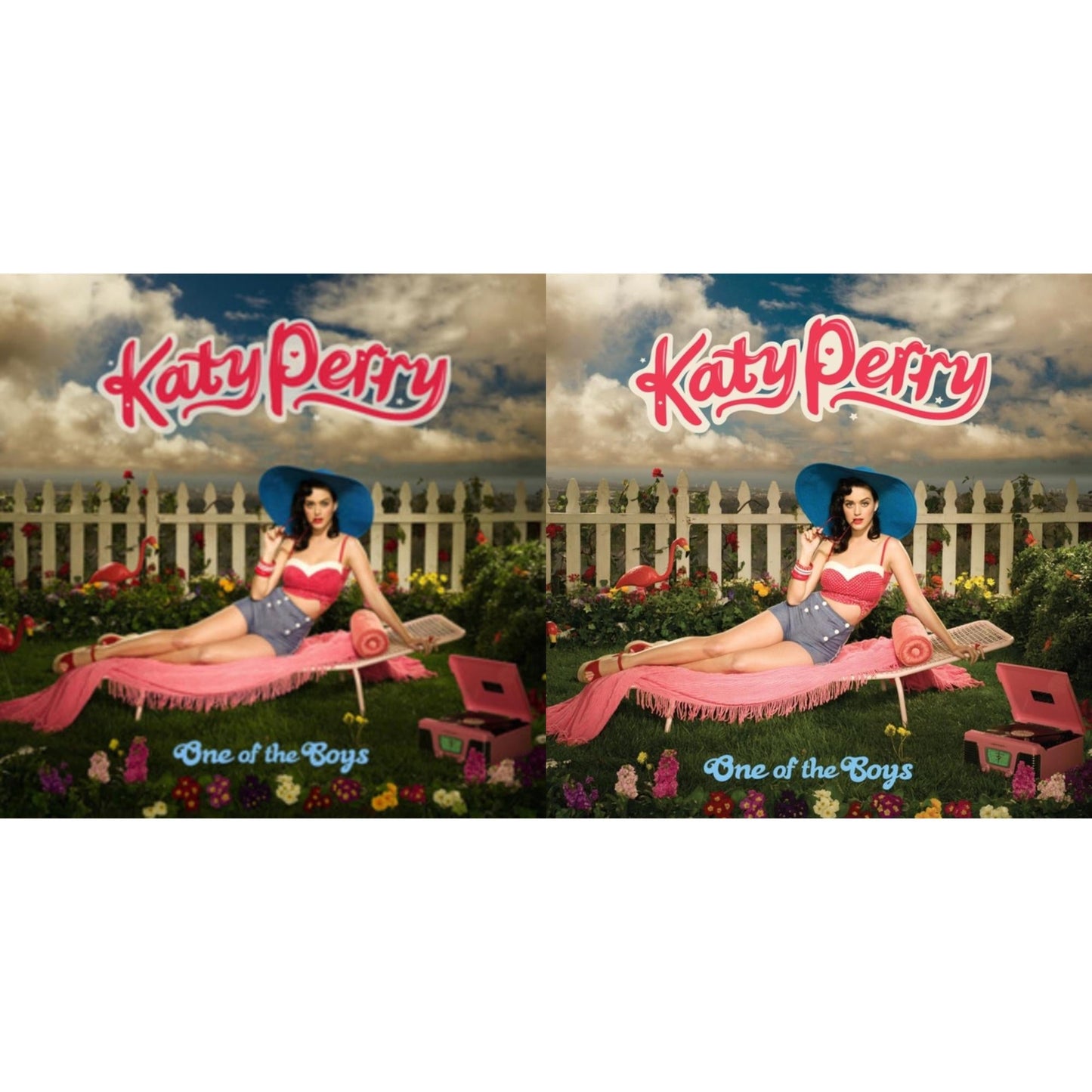 Katy Perry - One Of The Boys & One Of The Boys (Reissue) - LP Vinyl Bundle