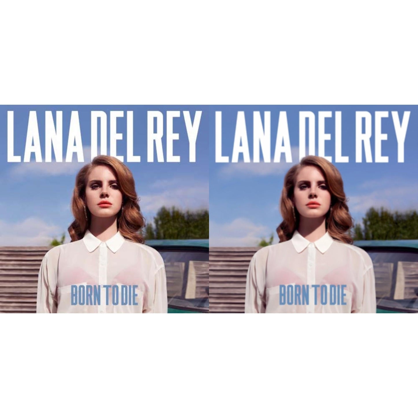 Lana Del Rey - Born To Die & Born To Die - LP Vinyl Bundle