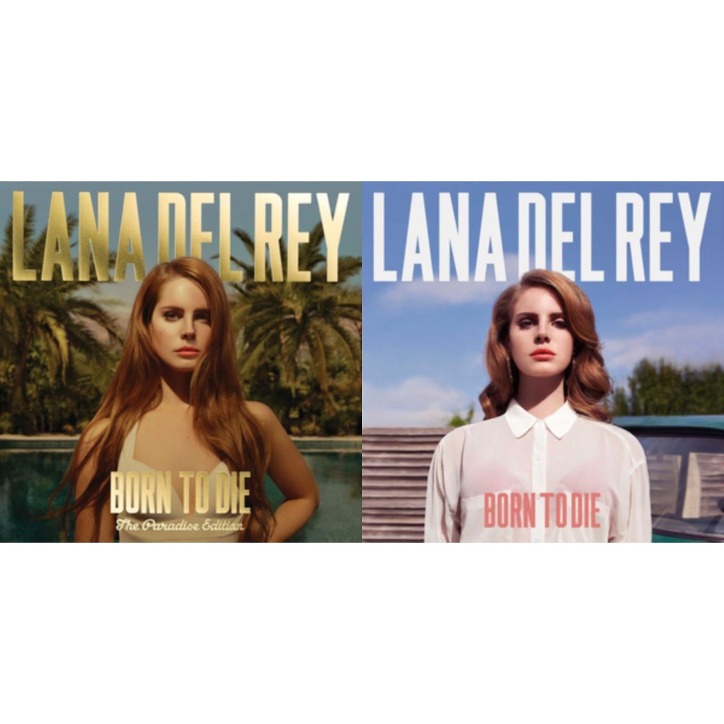 Lana Del Rey - Born To Die & Born To Die (Paradise Edition) (Only The Bonus Material) - LP Vinyl Bundle