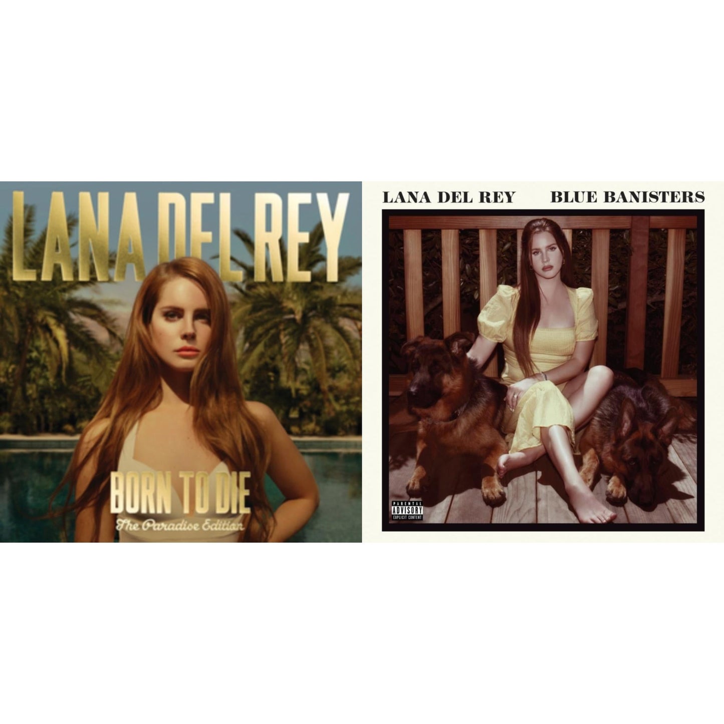 Lana Del Rey - Blue Banisters (2LP) & Born To Die (Paradise Edition) (Only The Bonus Material)