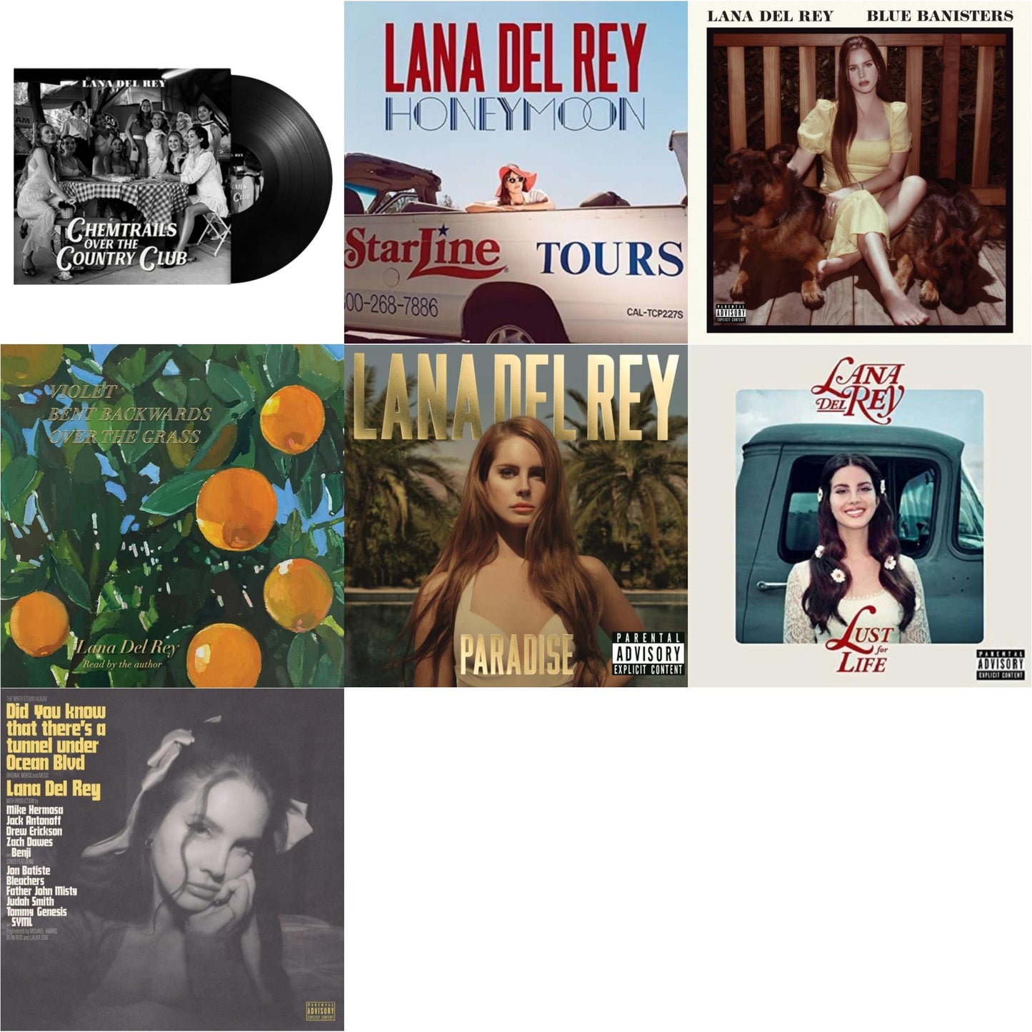 Lana Del Rey - Chemtrails Over The Country Club & Blue Banisters (2LP) & Did You Know That There’S A Tunnel Under Ocean Blvd (X) (2LP/180G) & Violet Bent Backwards Over The Grass (180G) & Paradise & Honeymoon & Lust For Life