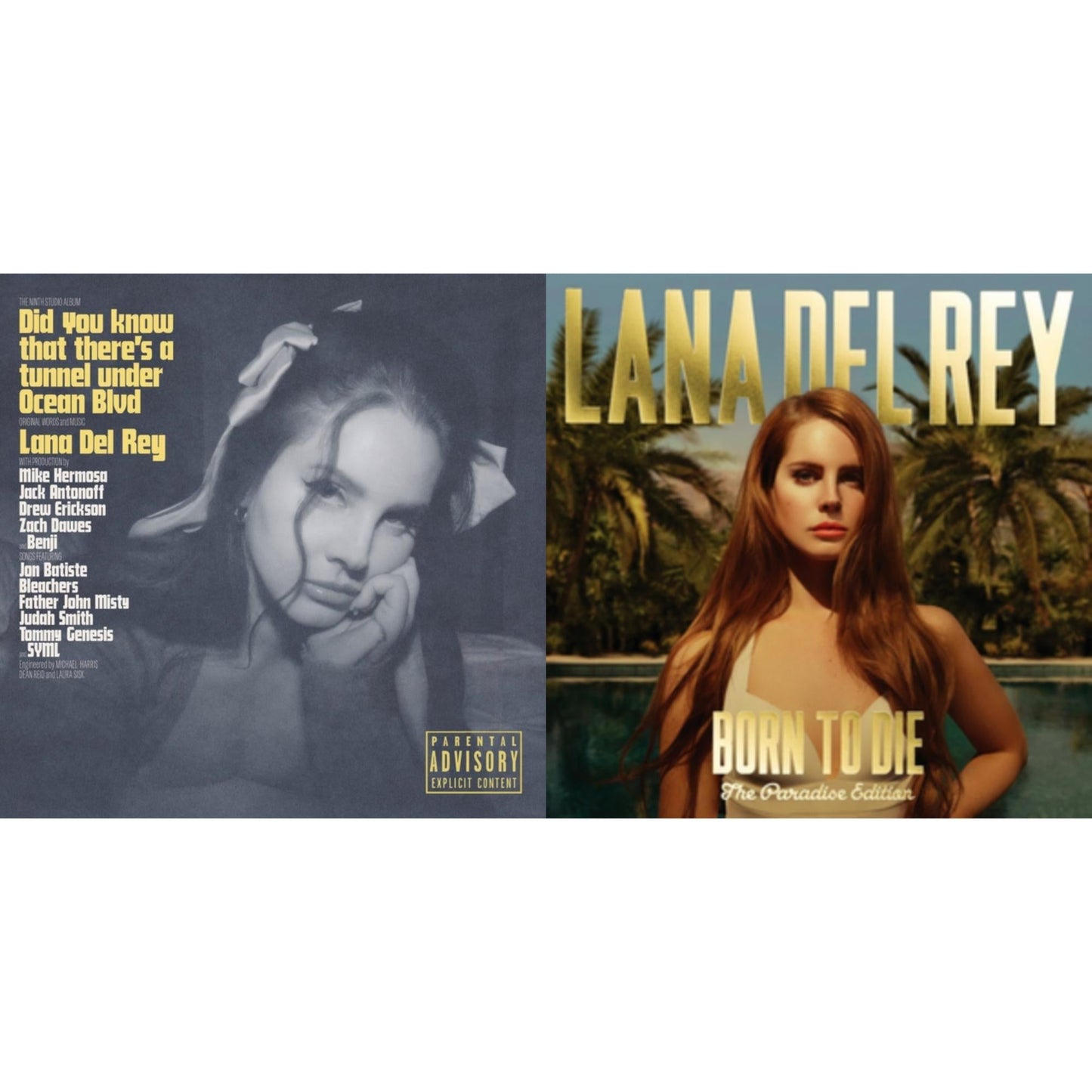 Lana Del Rey - Did You Know That There’S A Tunnel Under Ocean Blvd (X) & Born To Die (Paradise Edition) - CD Bundle