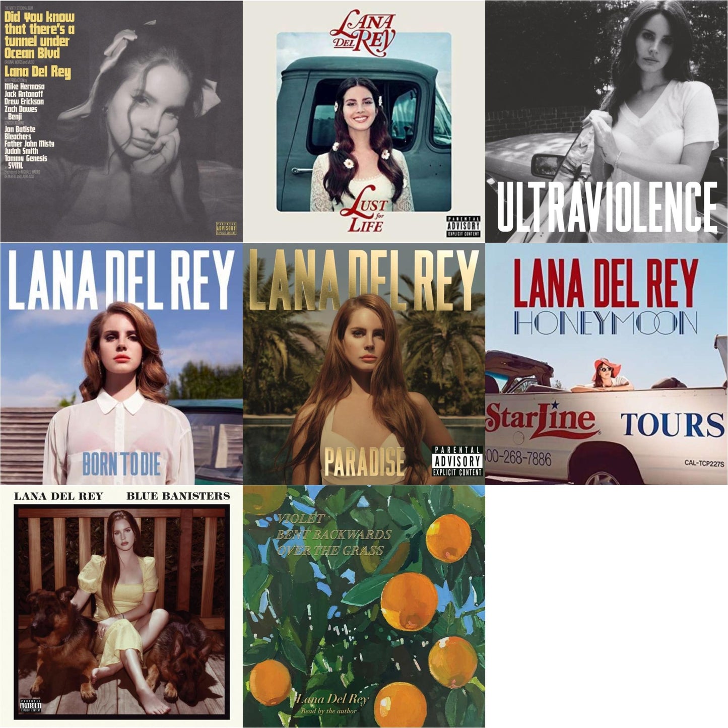Lana Del Rey - Blue Banisters (2LP) & Did You Know That There’S A Tunnel Under Ocean Blvd (X) (2LP/180G) & Violet Bent Backwards Over The Grass (180G) & Born To Die & Paradise & Ultraviolence & Honeymoon & Lust For Life