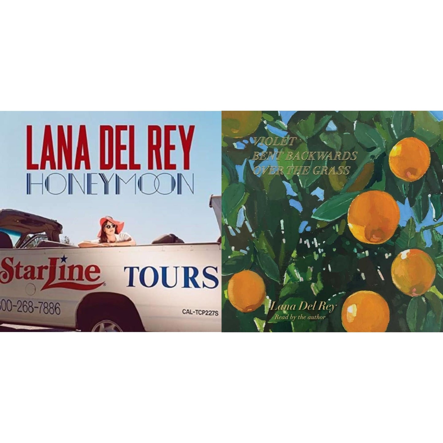 Lana Del Rey - Violet Bent Backwards Over The Grass (180G) & Honeymoon - LP Vinyl Bundle