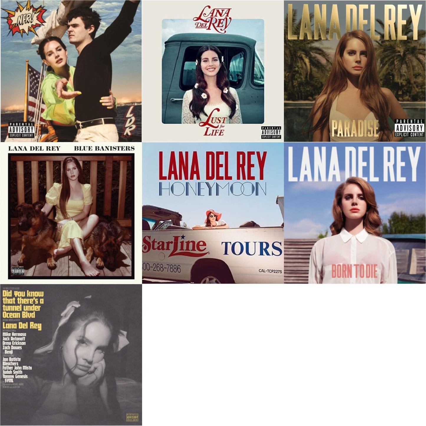 Lana Del Rey - Blue Banisters (2LP) & Did You Know That There’S A Tunnel Under Ocean Blvd (X) (2LP/180G) & Nfr! (2LP) & Born To Die & Paradise & Honeymoon & Lust For Life
