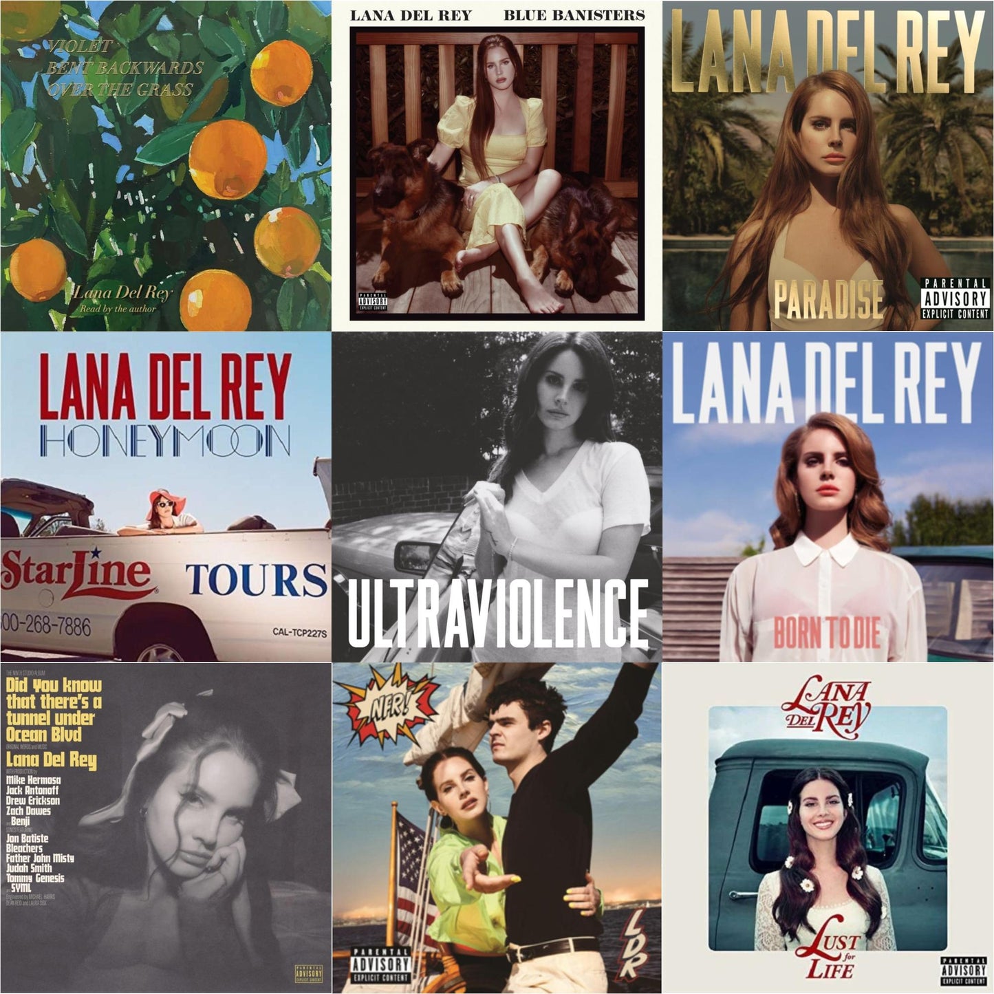 Lana Del Rey - Blue Banisters (2LP) & Did You Know That There’S A Tunnel Under Ocean Blvd (X) (2LP/180G) & Violet Bent Backwards Over The Grass (180G) & Nfr! (2LP) & Born To Die & Paradise & Ultraviolence & Honeymoon & Lust For Life