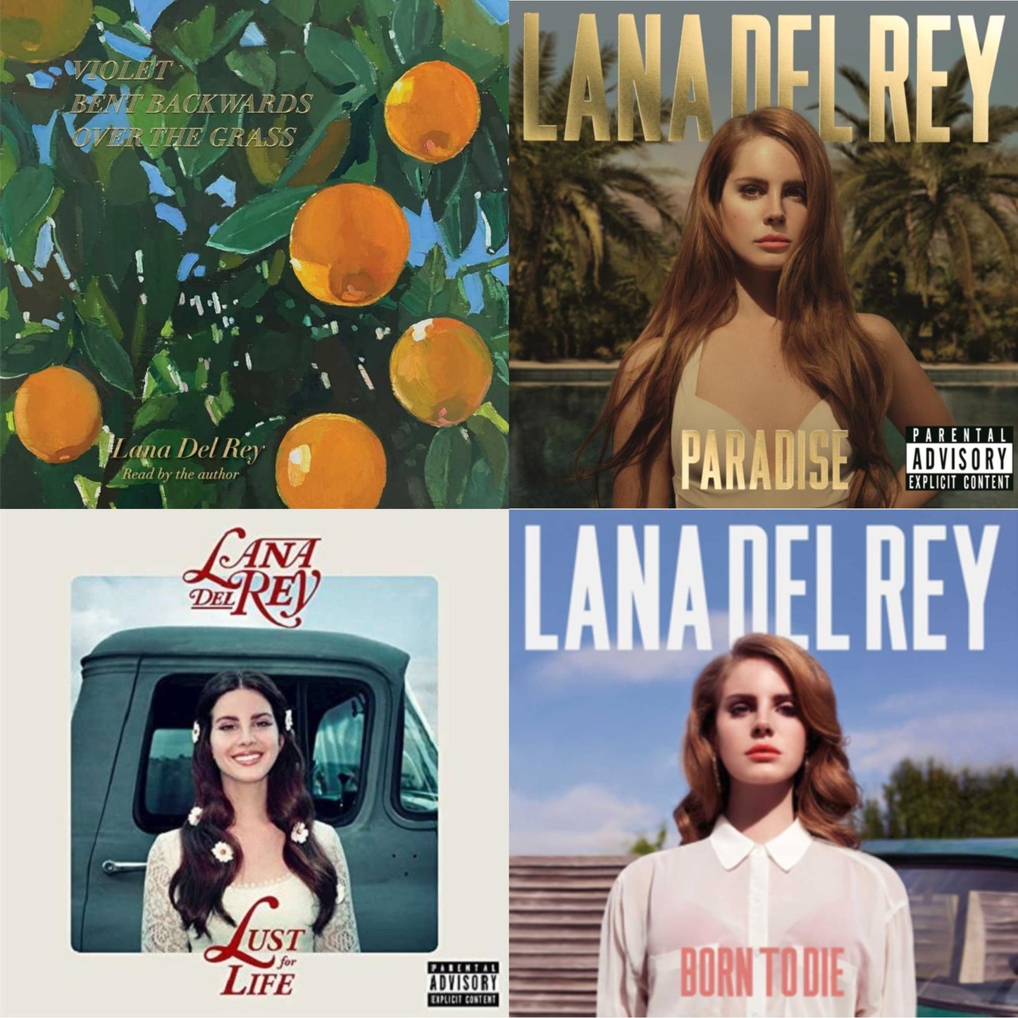 Lana Del Rey - Violet Bent Backwards Over The Grass (180G) & Born To Die & Paradise & Lust For Life - LP Vinyl Bundle