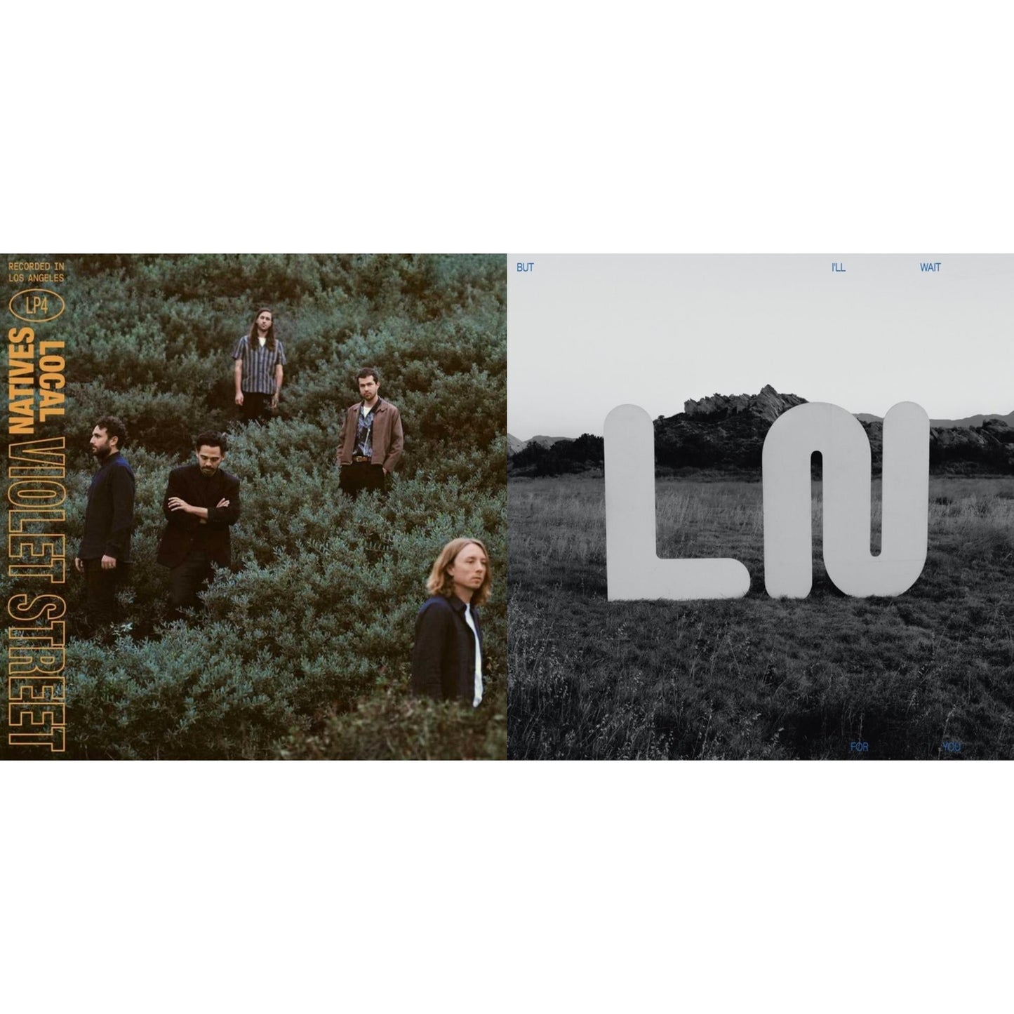 Local Natives - Violet Street & But I'll Wait For You - LP Vinyl Bundle