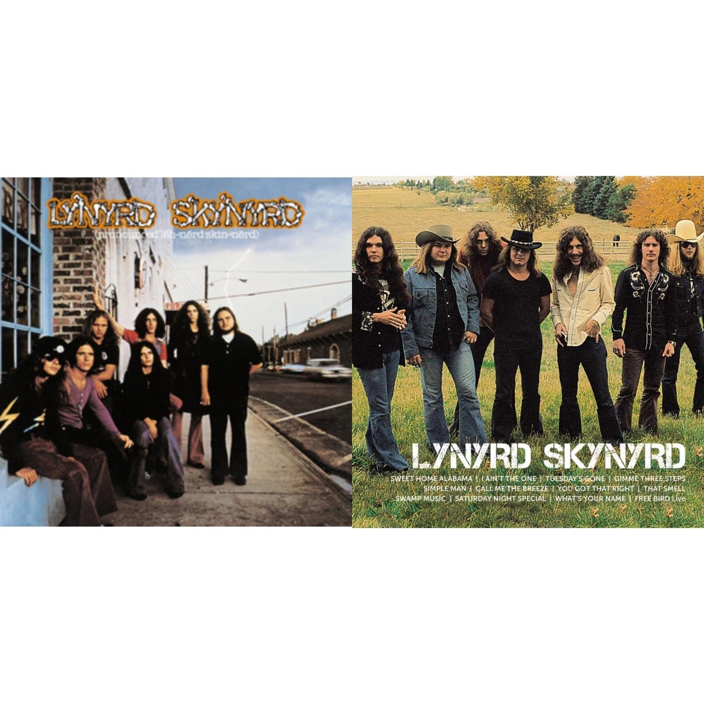 Lynyrd Skynyrd - Pronounced Leh-Nerd Skin-Nerd & Icon - LP Vinyl Bundle