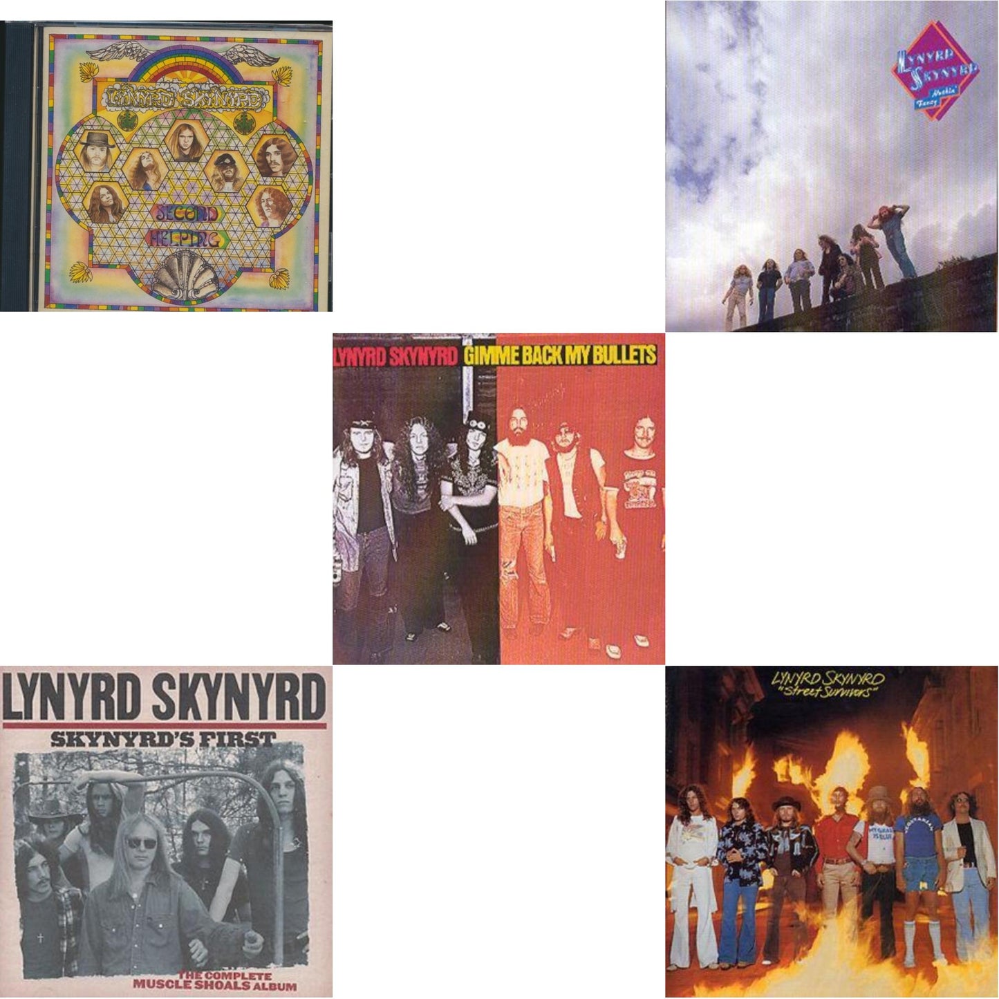 Lynyrd Skynyrd - Second Helping & Skynyrd's First & Gimme Back My Bullets & Nuthin Fancy & Street Survivors - CD Bundle