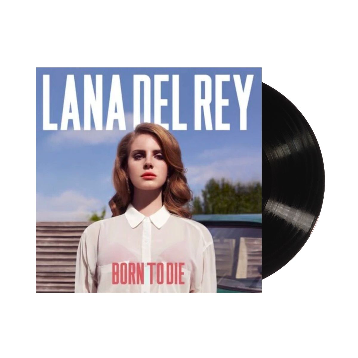 Lana Del Rey - Born To Die Vinyl Record