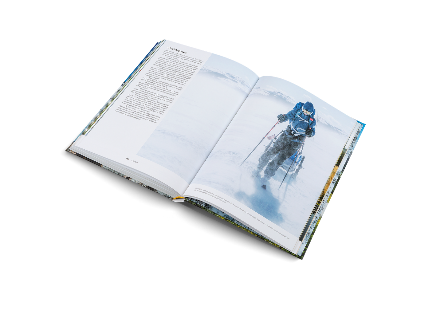 Leaving the Comfort Zone Book
