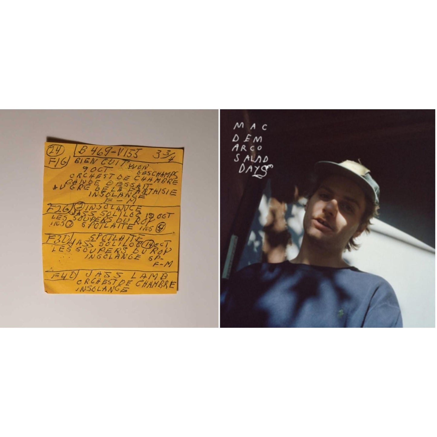 Mac Demarco - Salad Days & Here Comes The Cowboy Demos - LP Vinyl Bundle