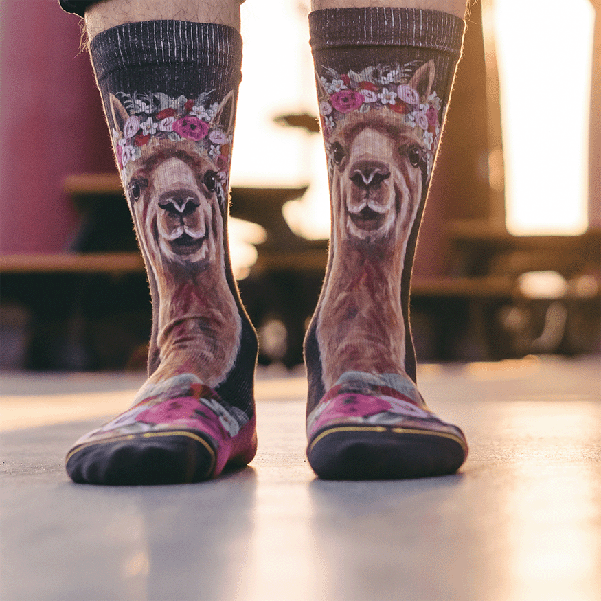 Alpaca Farm Animal Adult Crew Socks With Art By Lee Keller