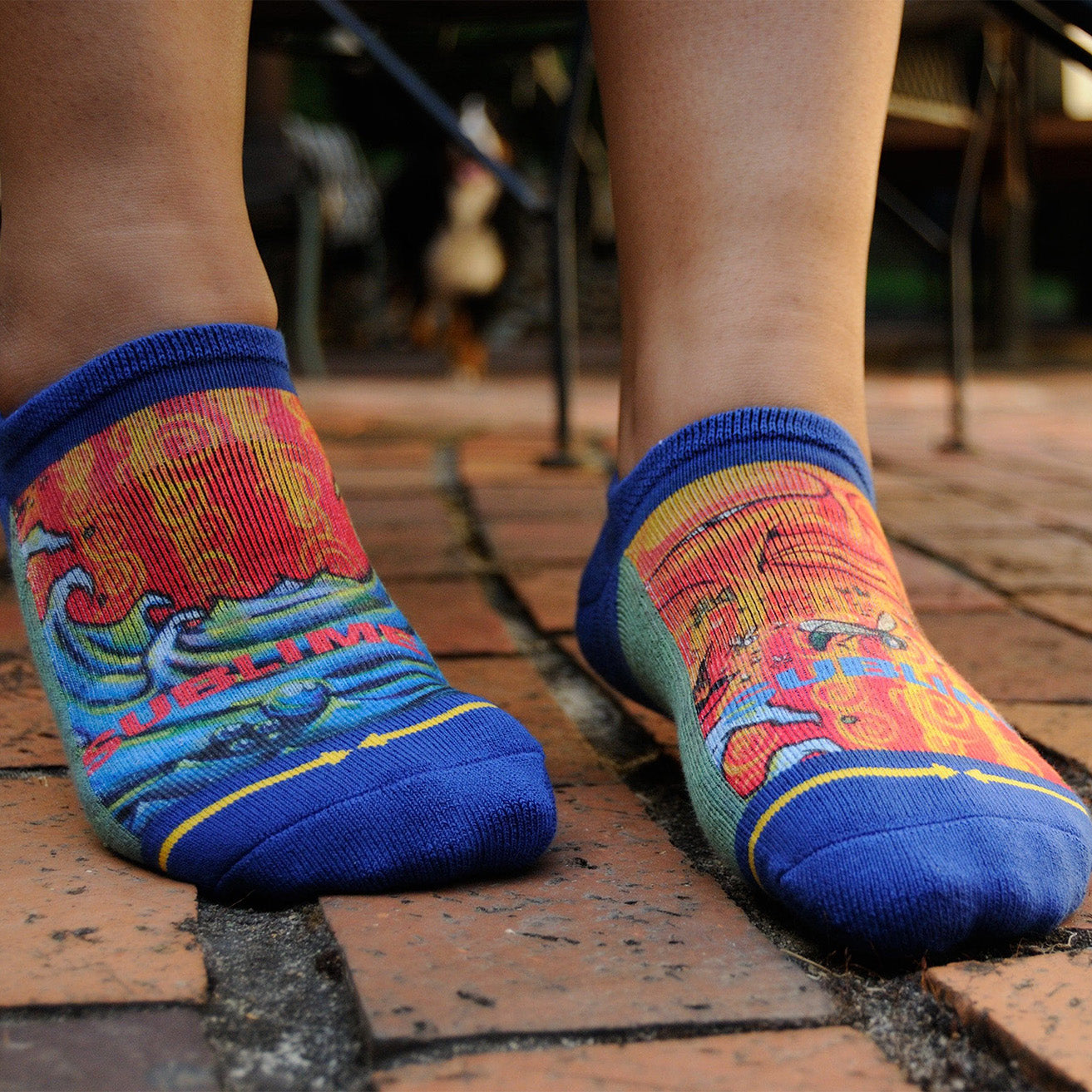 Sublime Everything Under The Sun Adult No Show Socks