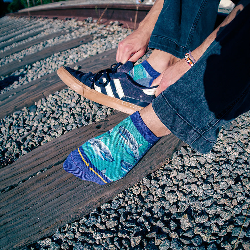 Great White Sharks Adult No Show Socks With Art By Taylor Reinhold