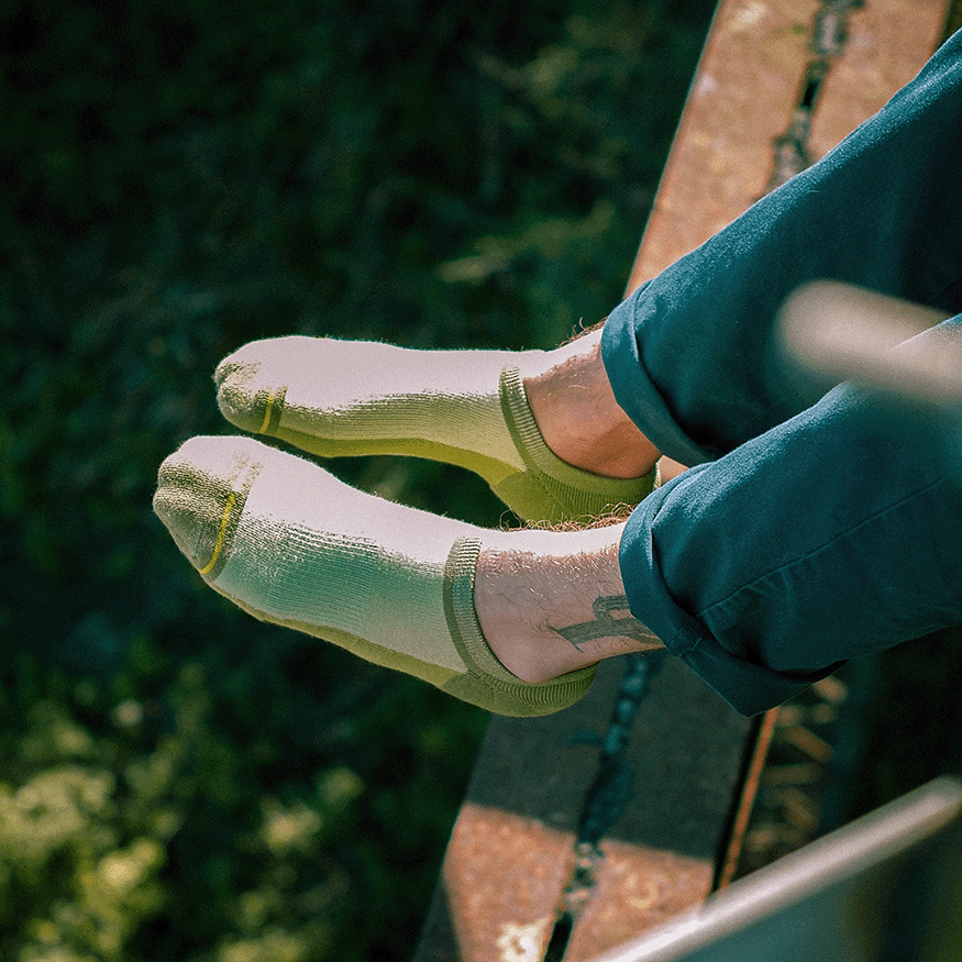 Olive Organic Cotton Adult No Show Socks