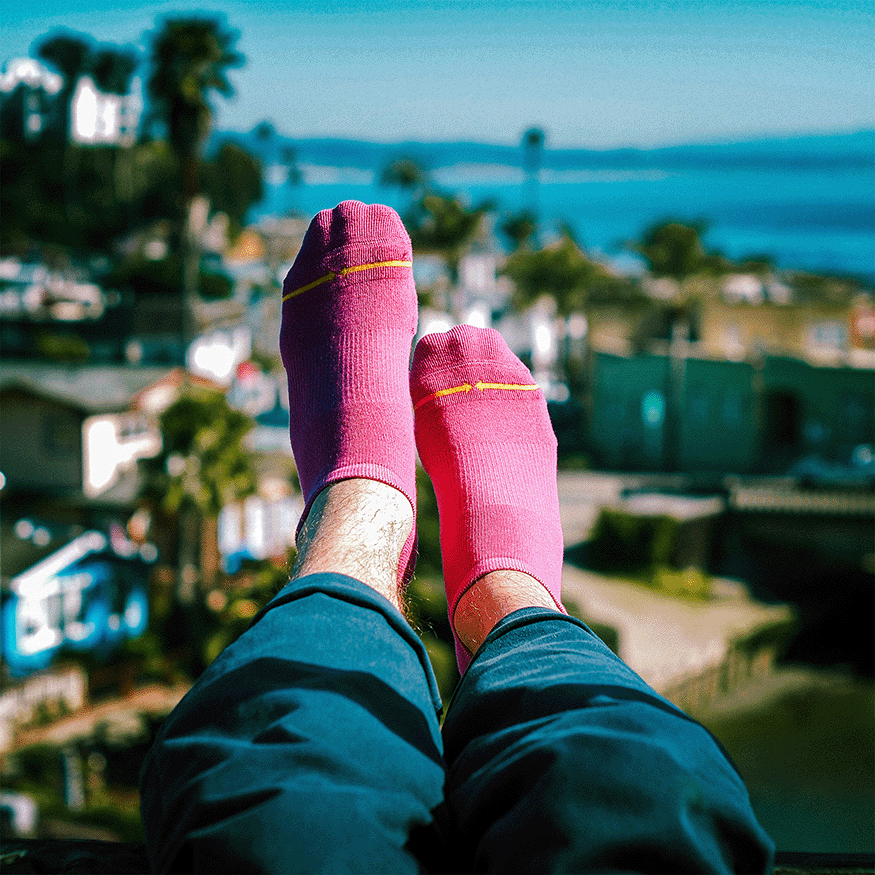 REPREVE® Berry Adult No Show Socks