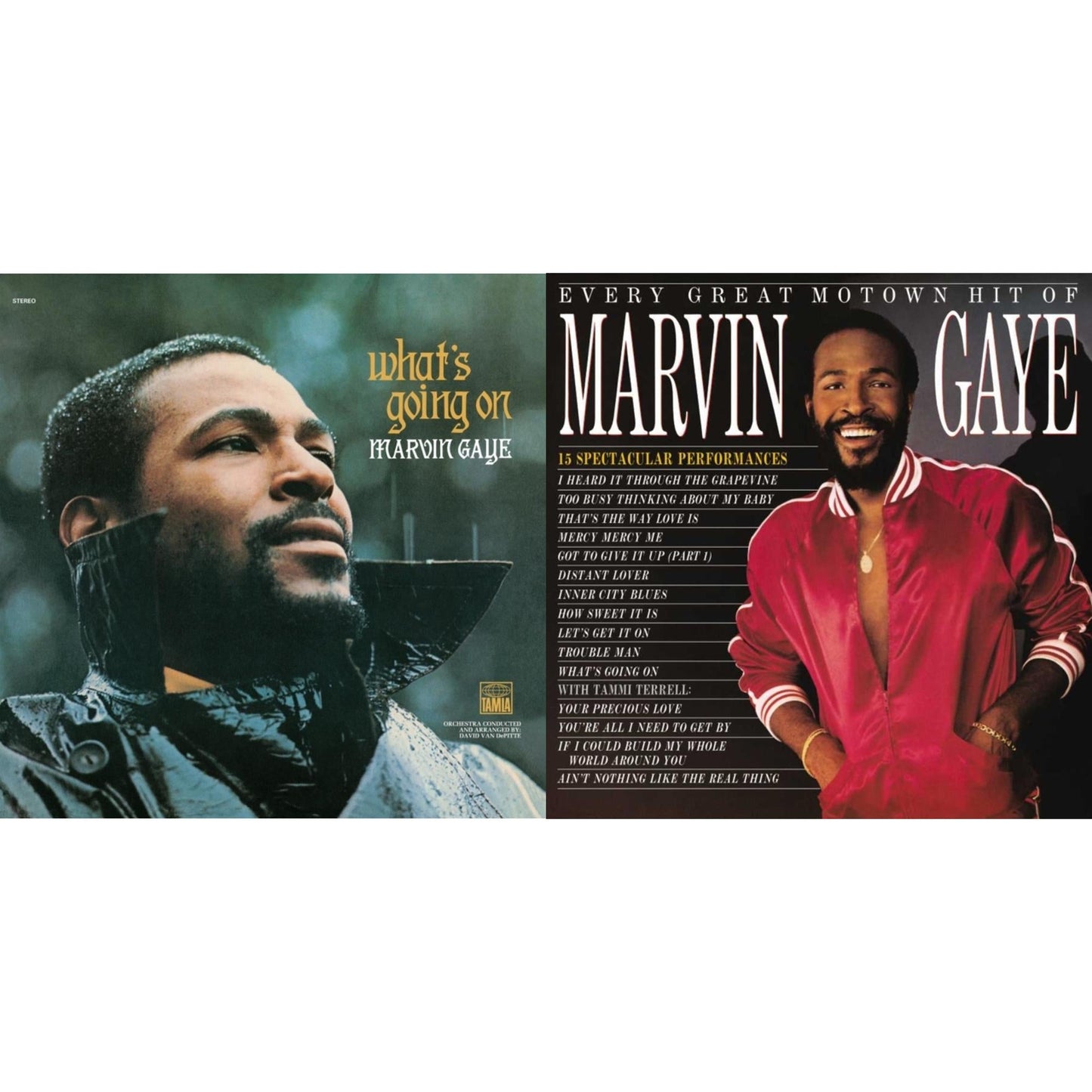 Marvin Gaye - What's Going On (50Th Anniversary/2LP) & Every Great Motown Hit Of Marvin Gaye: 15 Spectacular Performances
