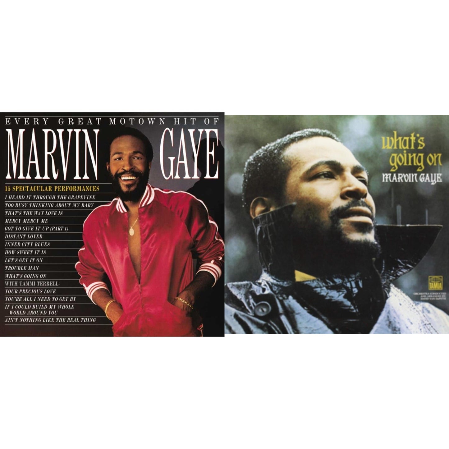 Marvin Gaye - Every Great Motown Hit Of Marvin Gaye: 15 Spectacular Performances & What's Going On - LP Vinyl Bundle