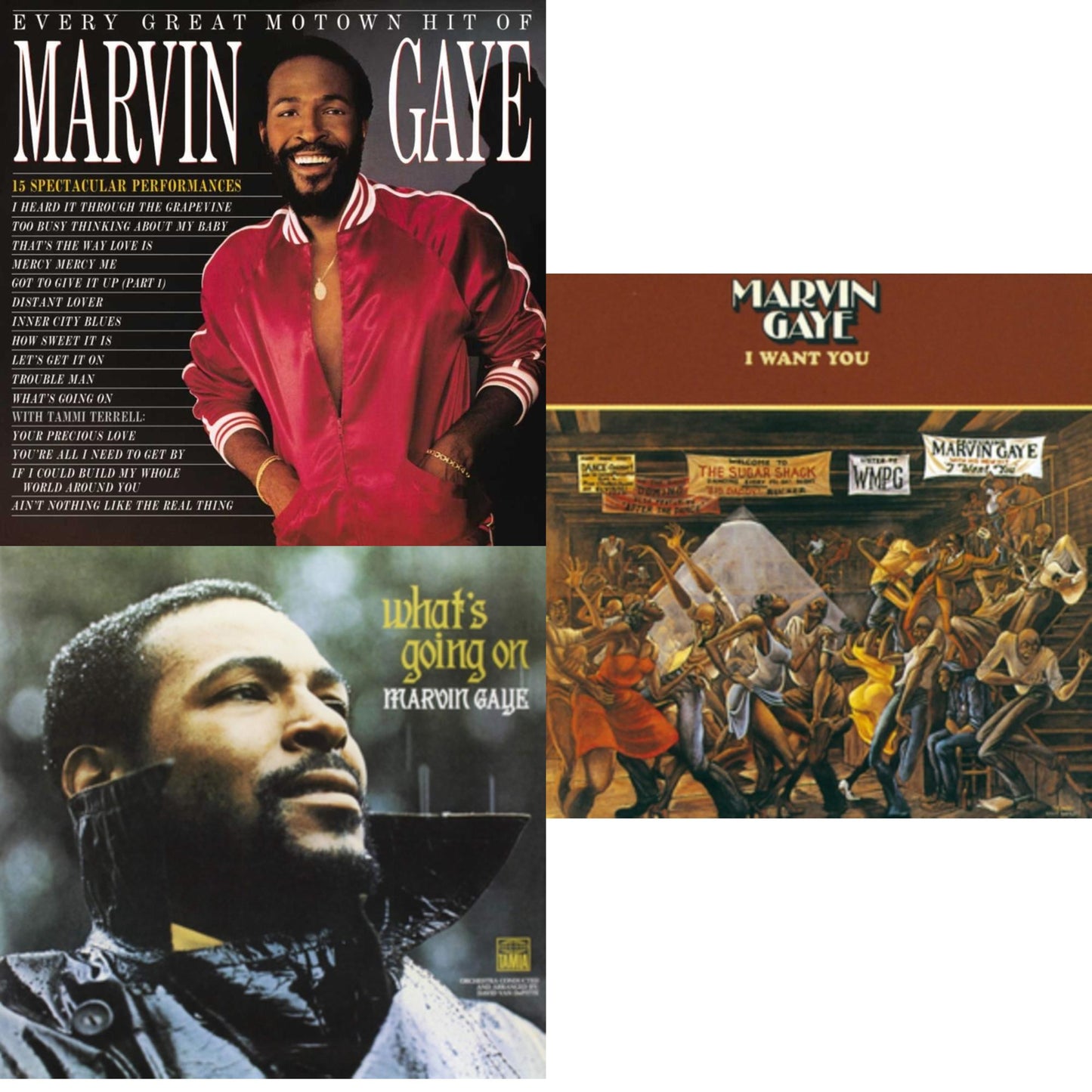 Marvin Gaye - I Want You & Every Great Motown Hit Of Marvin Gaye: 15 Spectacular Performances & What's Going On - LP Vinyl Bundle