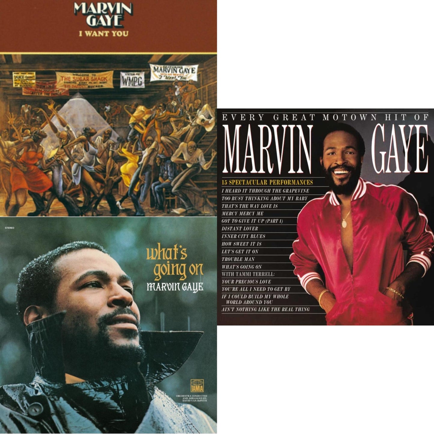 Marvin Gaye - I Want You & What's Going On (50Th Anniversary/2LP) & Every Great Motown Hit Of Marvin Gaye: 15 Spectacular Performances