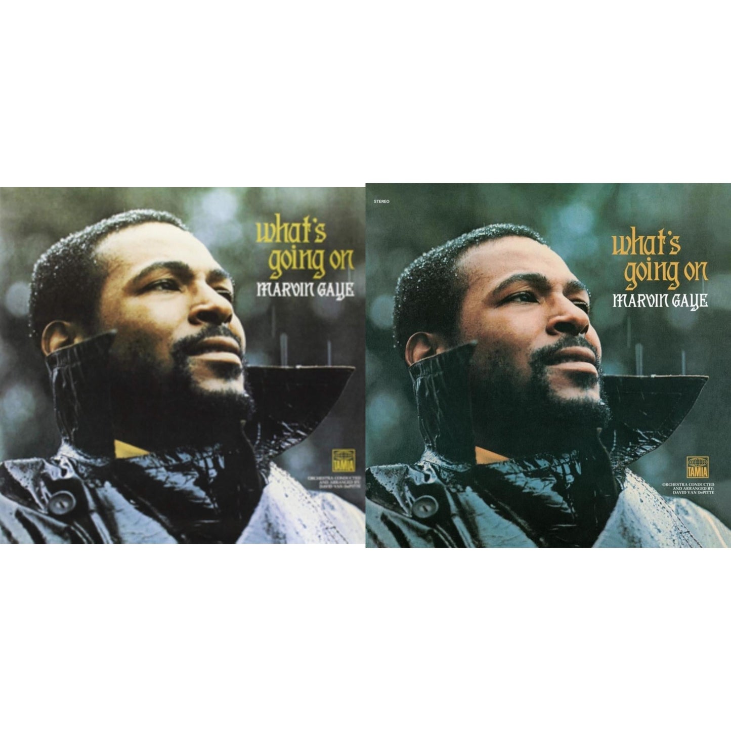 Marvin Gaye - What's Going On (50Th Anniversary/2LP) & What's Going On