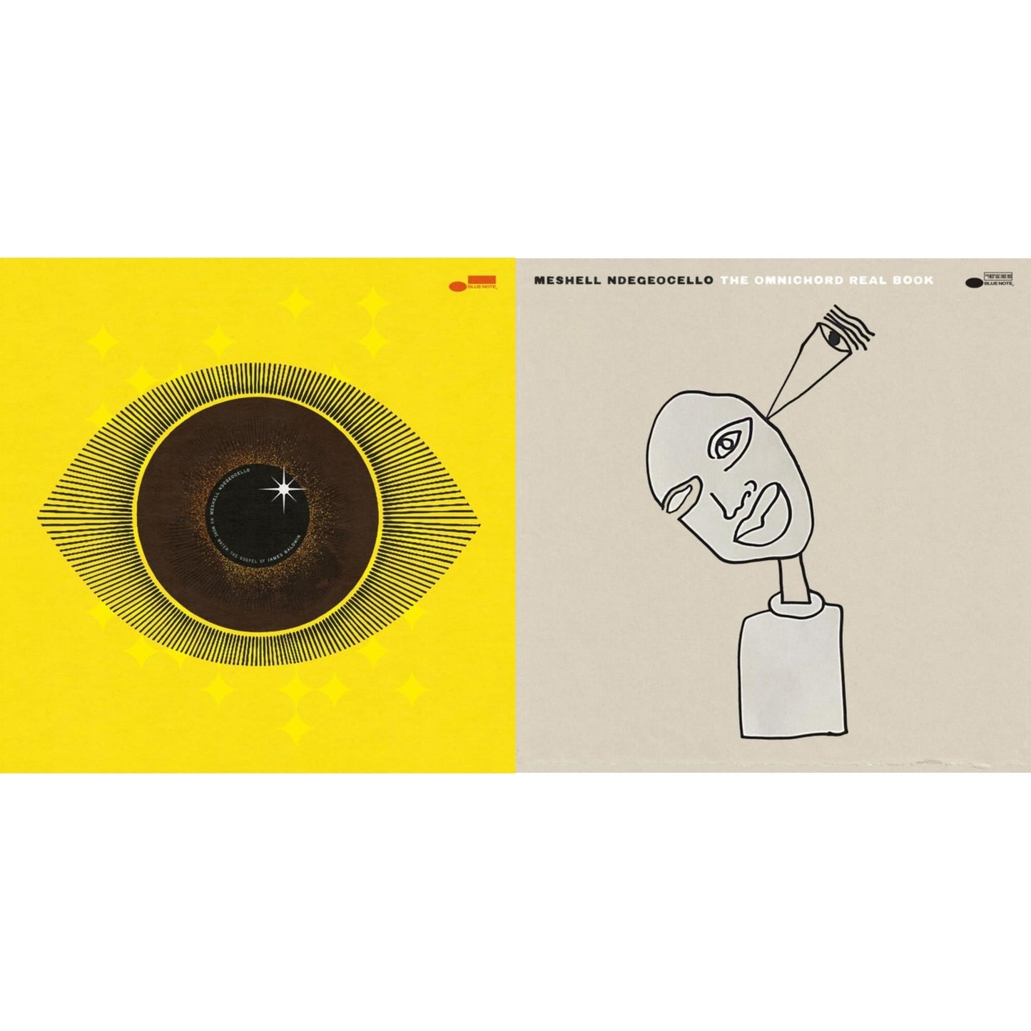 Meshell Ndegeocello - Omnichord Real Book (2LP) & No More Water: The Gospel Of James Baldwin (X) (2LP)