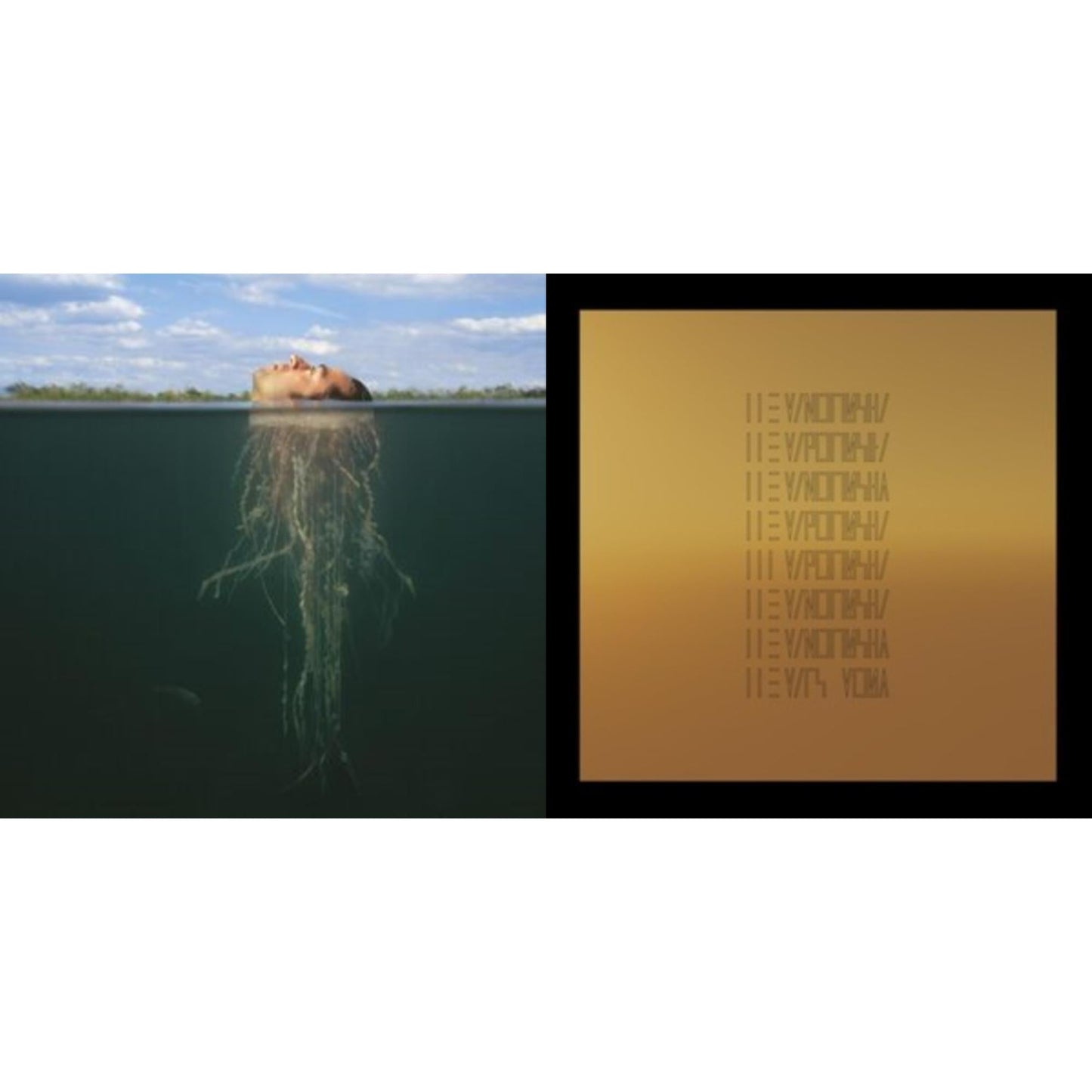 Mars Volta - De-Loused In The Comatorium (Gold & Dark Green Vinyl/2LP) & Mars Volta