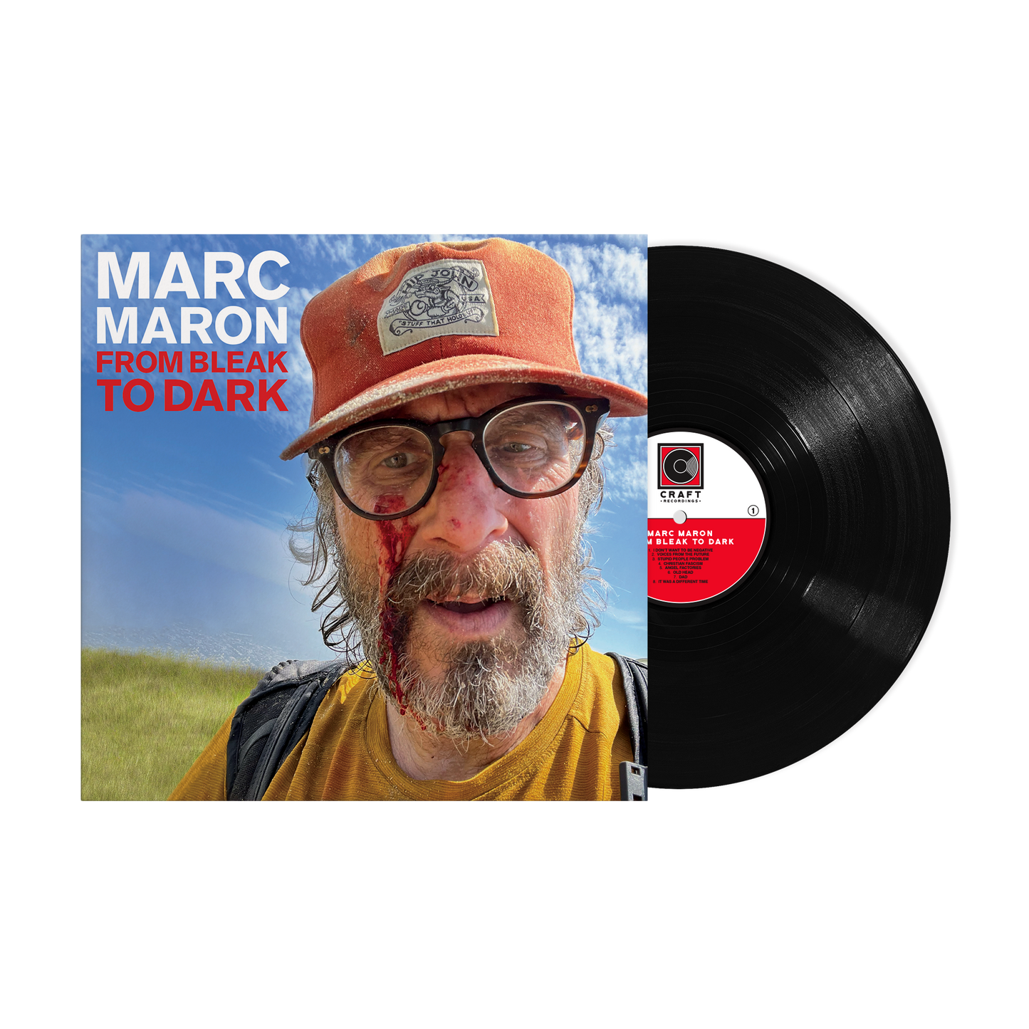 From Bleak To Dark (LP) Vinyl Record