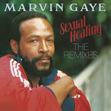 Sexual Healing: The Remixes Vinyl Record