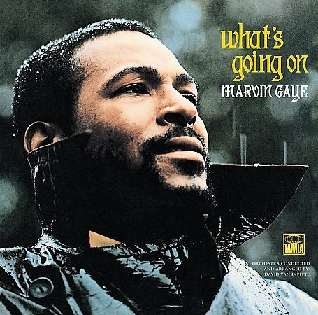 WHAT'S GOING ON (VIN Vinyl Record