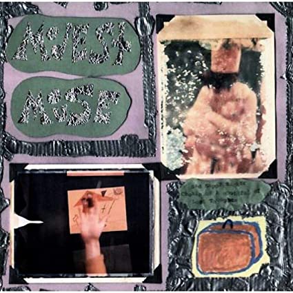 Modest Mouse - Sad Sappy Sucker Vinyl Record