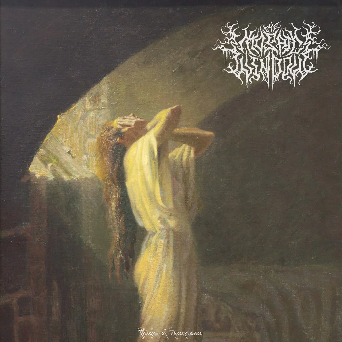 Mosaic Window - Plight Of Acceptance Vinyl Record