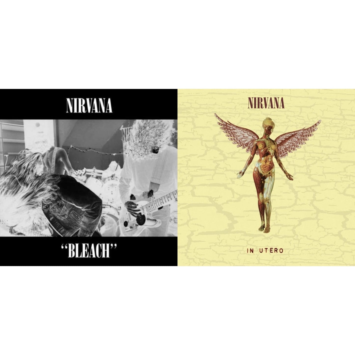 Nirvana - Bleach & In Utero (30Th Anniversary) (LP/10 Inch)