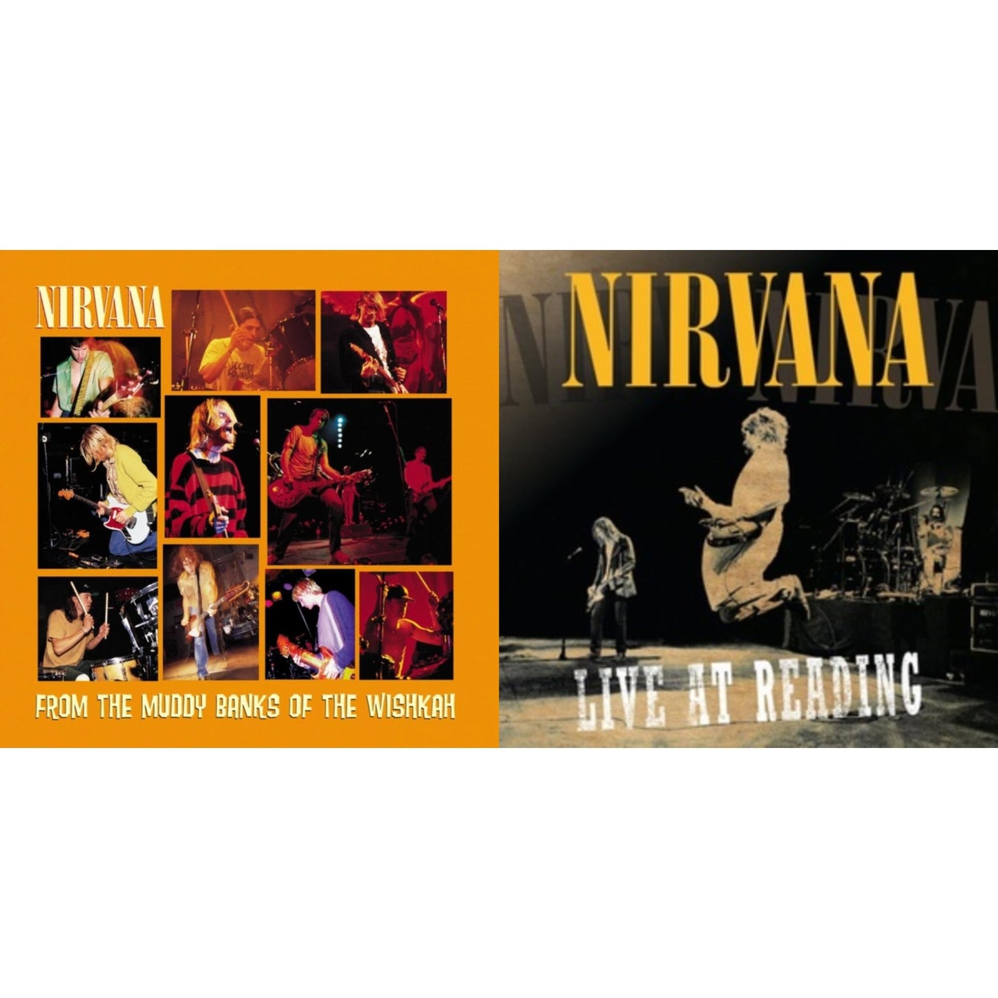 Nirvana - Live At Reading & From The Muddy Banks Of The Wishkah - LP Vinyl Bundle
