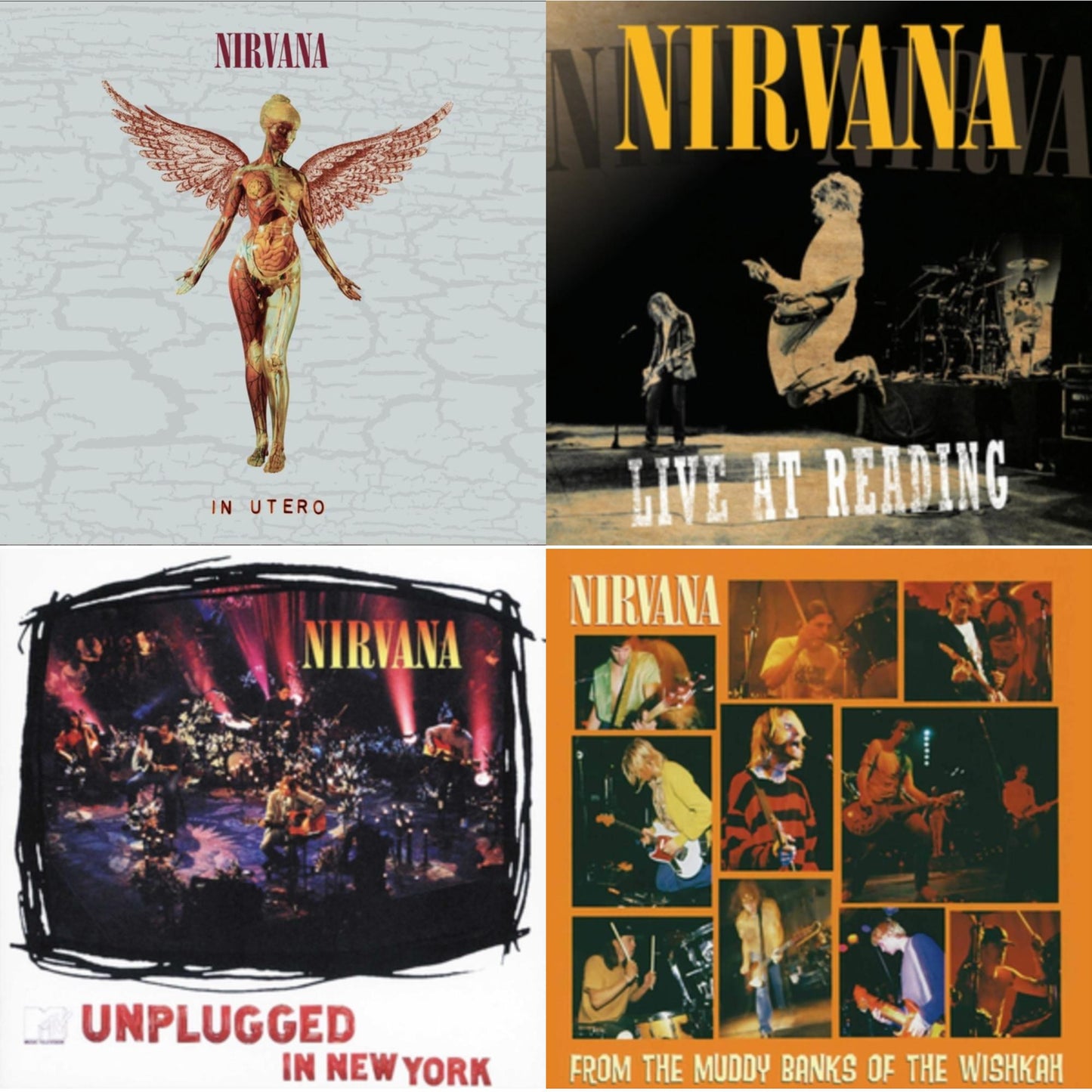 Nirvana - In Utero (30Th Anniversary) (2CD) & Live At Reading & Unplugged In N.Y. & From Muddy Banks Of Wishkah
